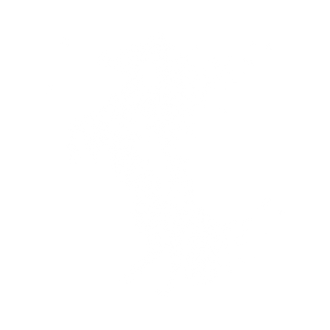 Ethnic Tribal Horse
