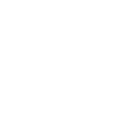 Ethnic Tribal Horse
