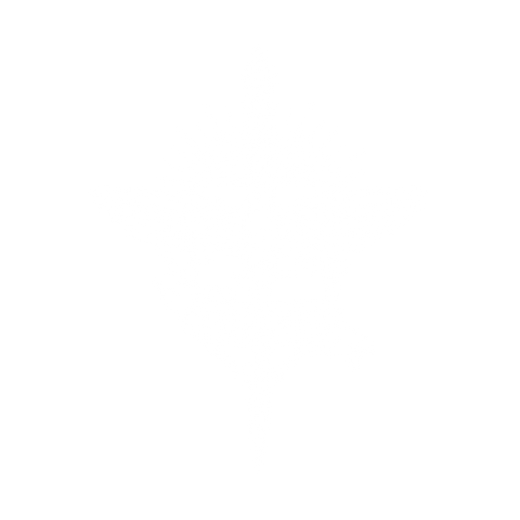 Dagger & Heart