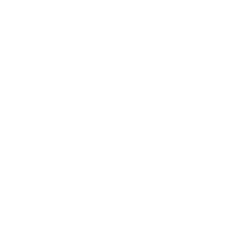 Aggressive Tiger