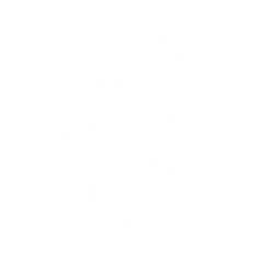 Aggressive Tiger