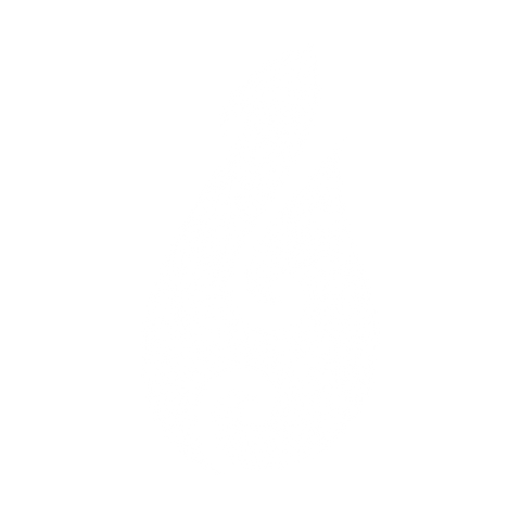 Paisely Pattern