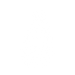 Paisely Pattern